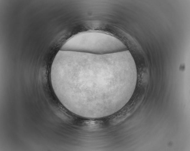 X0000116300558201001111120