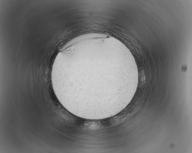 X0000116300559201001111120