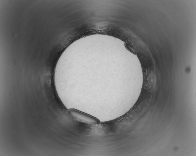 X0000116300562201001111120