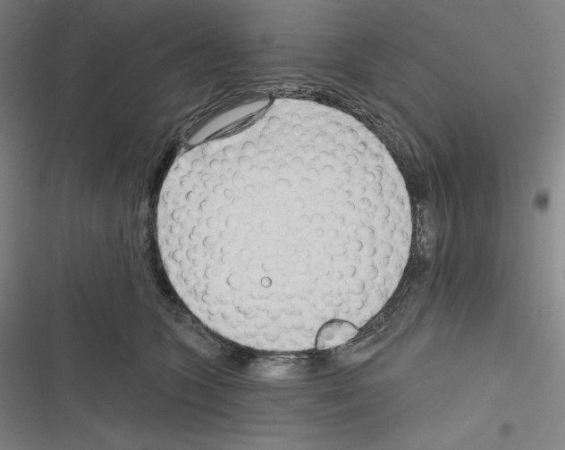 X0000116300563201001111120