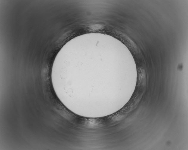 X0000116300565201001111120