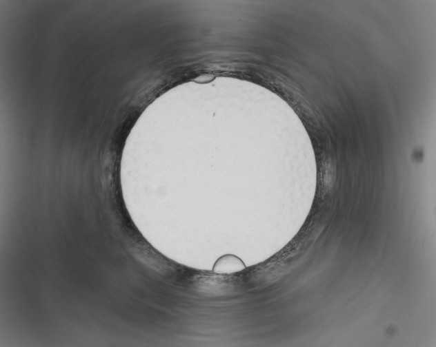 X0000116300567201001111120