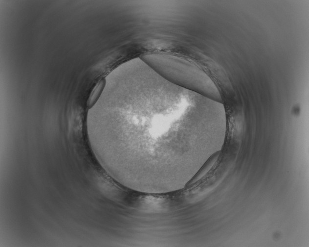 X0000116300570201001111120