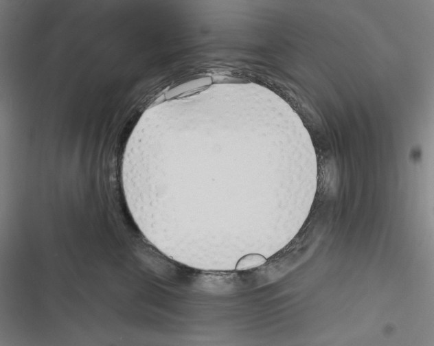 X0000116300571201001111120