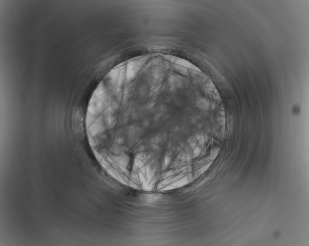 X0000116300575201001111120