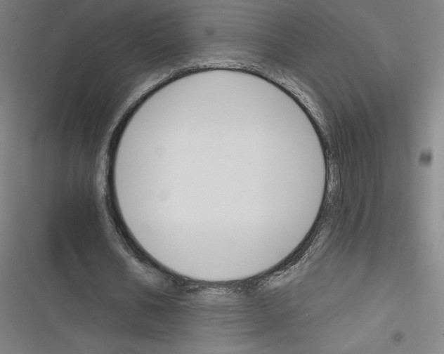 X0000116300578201001111119