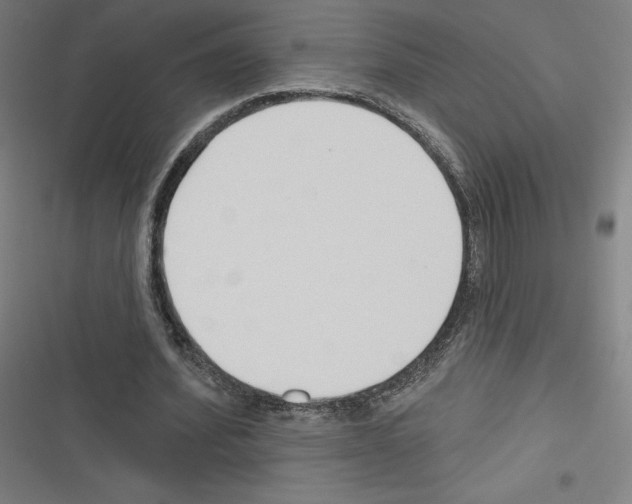 X0000116300580201001111119