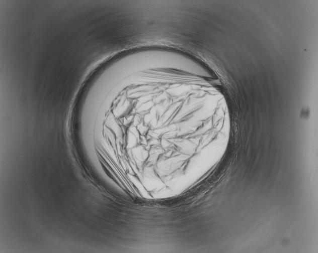 X0000116300583201001111119