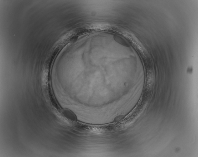 X0000116300585201001111119