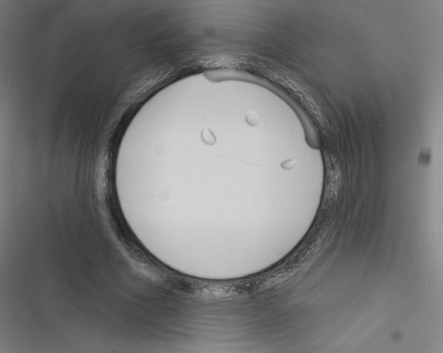 X0000116300586201001111119