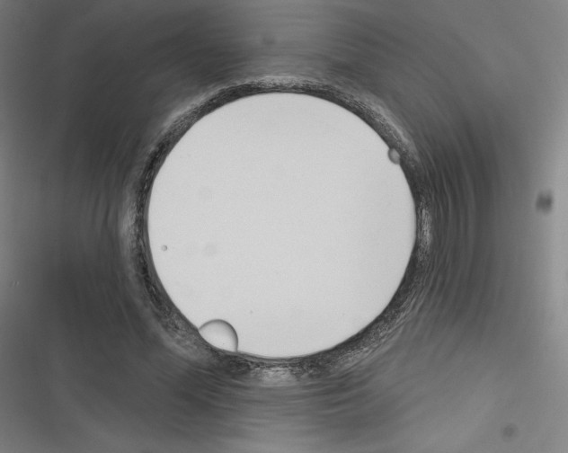 X0000116300588201001111119