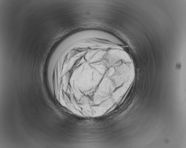 X0000116300589201001111119