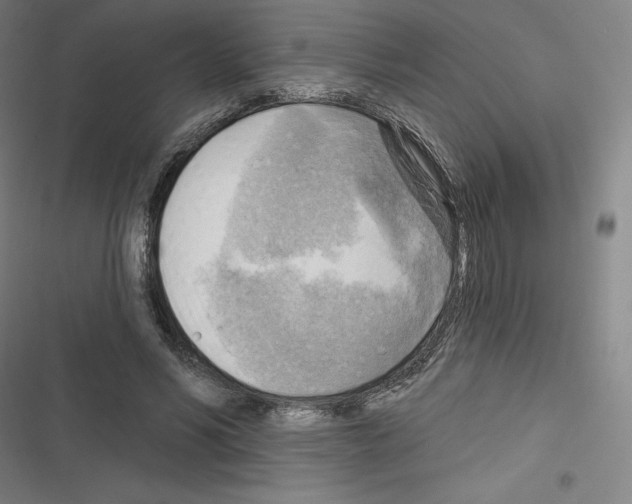 X0000116300590201001111119