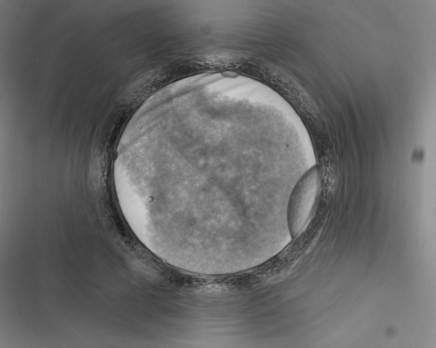 X0000116300593201001111119