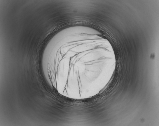 X0000116300595201001111119