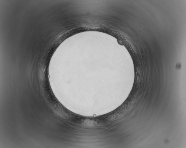 X0000116300596201001111119