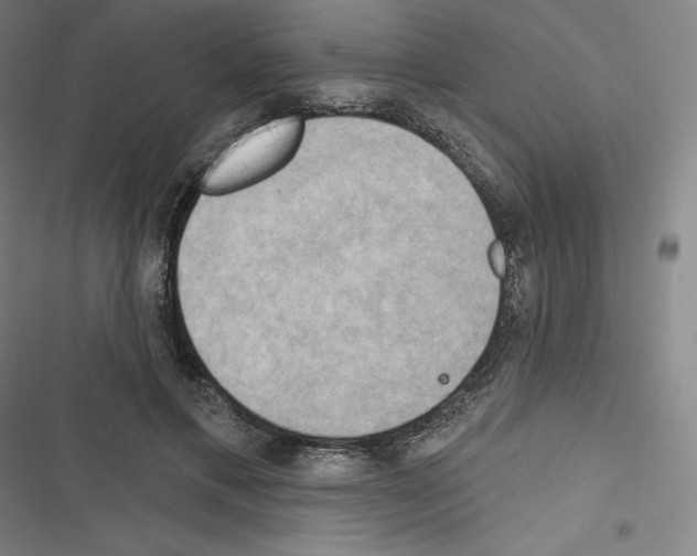 X0000116300597201001111119