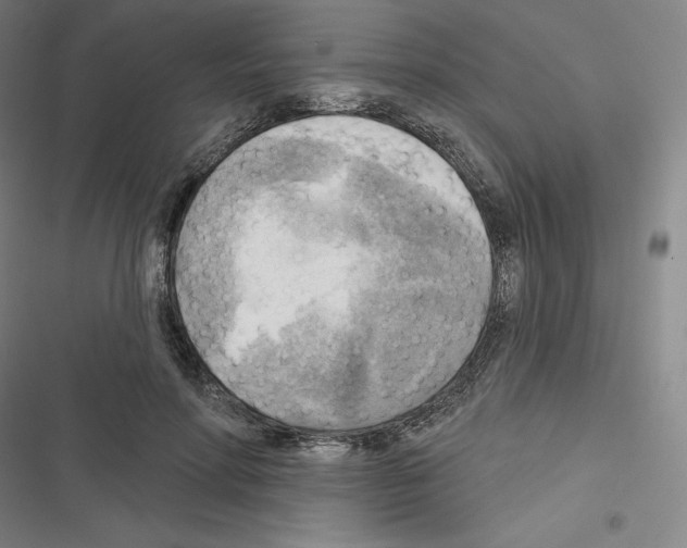 X0000116300598201001111119