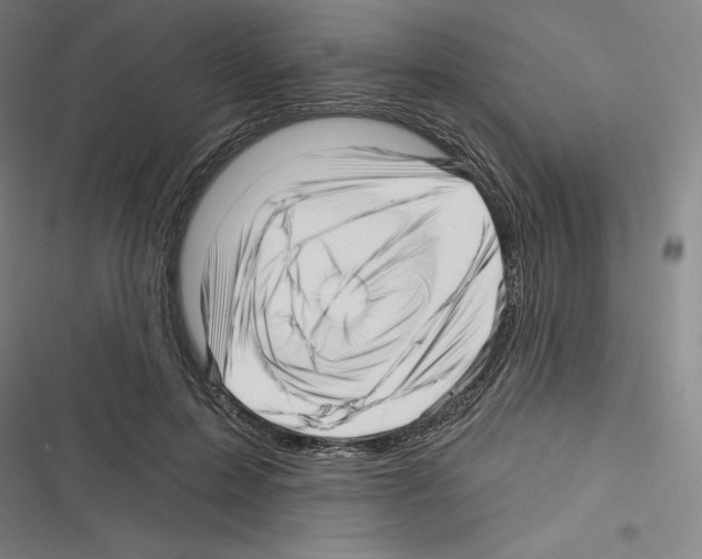 X0000116300599201001111119