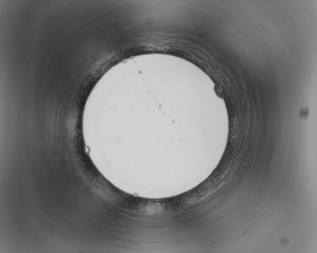 X0000116300600201001111119