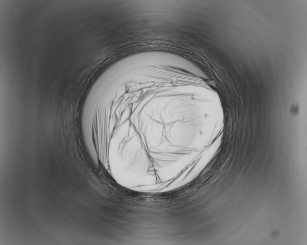 X0000116300601201001111119