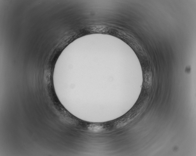 X0000116300602201001111119