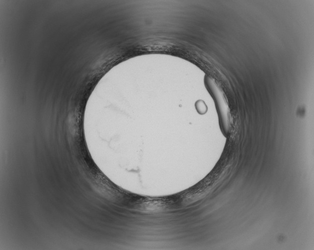 X0000116300604201001111119