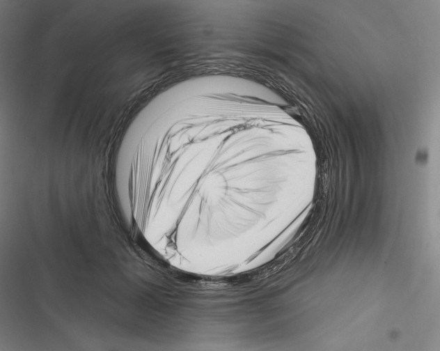 X0000116300605201001111119