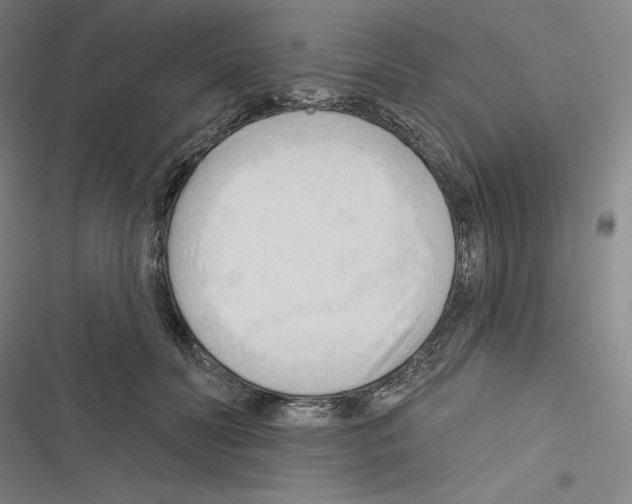 X0000116300606201001111119