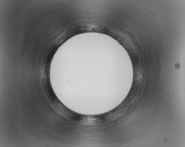 X0000116300607201001111119