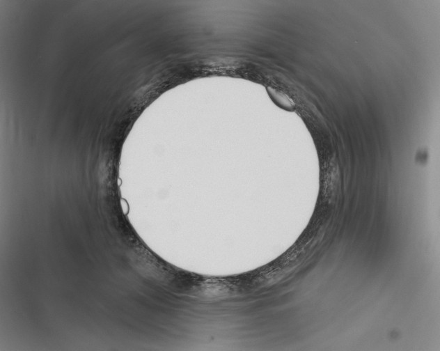 X0000116300608201001111119