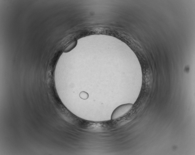 X0000116300611201001111119