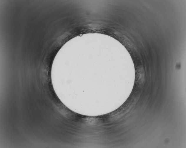 X0000116300615201001111119