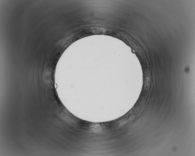 X0000116300616201001111119