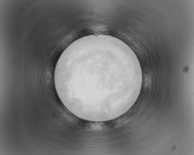 X0000116300618201001111119