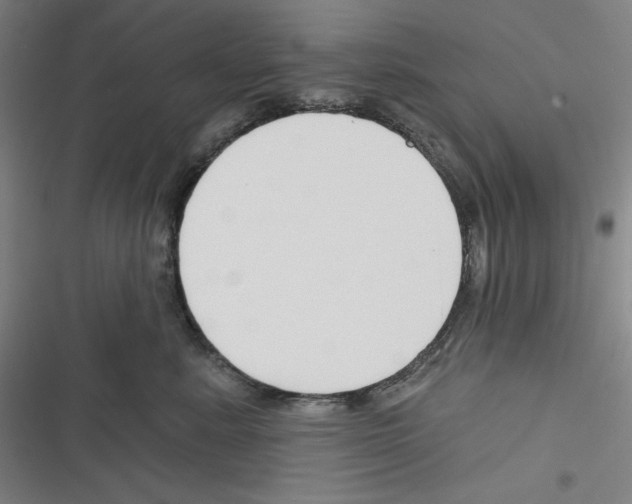 X0000116300619201001111119