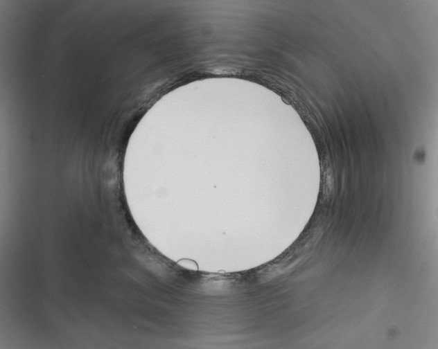 X0000116300620201001111119