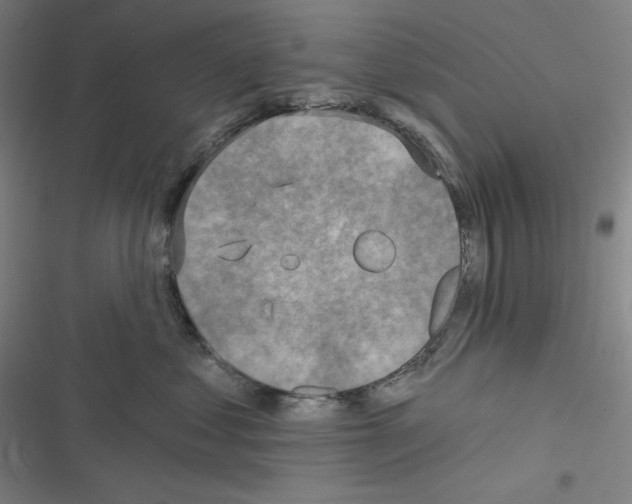 X0000116300621201001111119