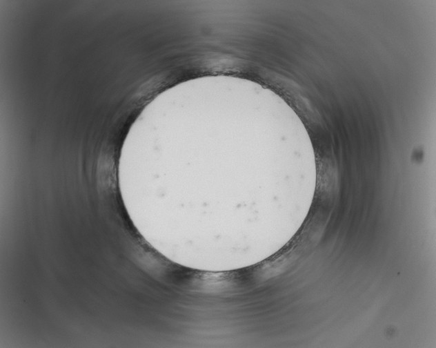 X0000116300622201001111119