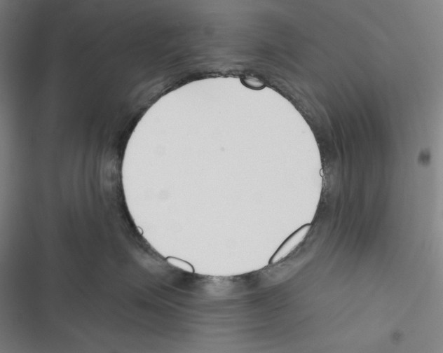 X0000116300623201001111119