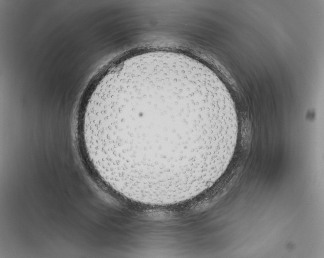 X0000116300629201001111118