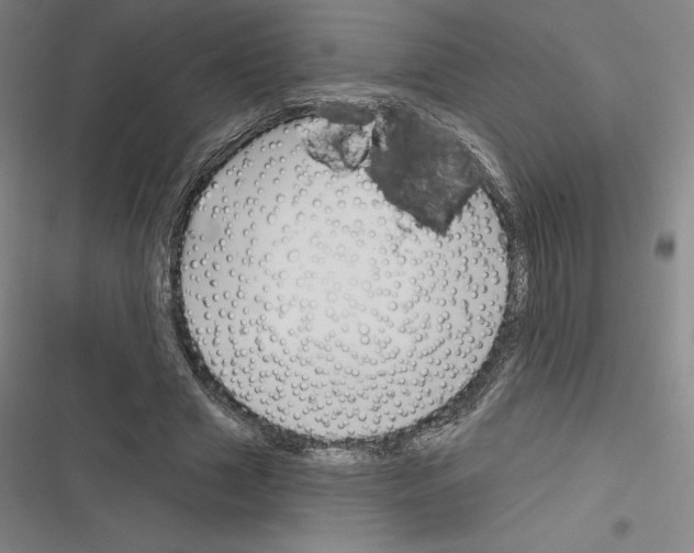 X0000116300633201001111118