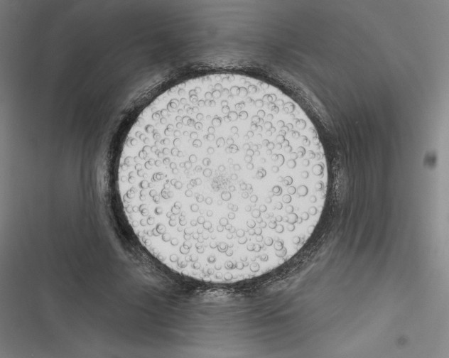 X0000116300635201001111118