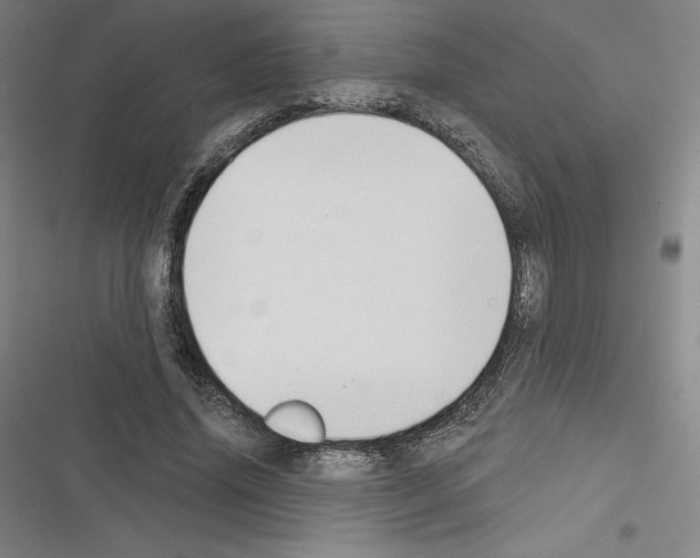 X0000116300636201001111118