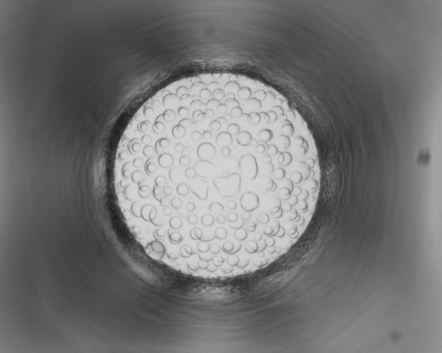 X0000116300638201001111118