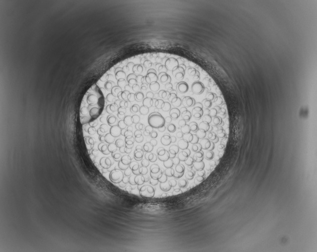 X0000116300639201001111118