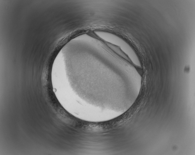 X0000116300640201001111118