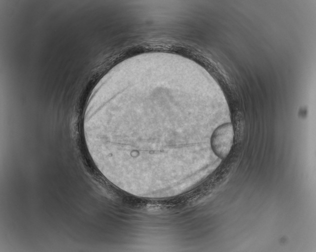 X0000116300641201001111118