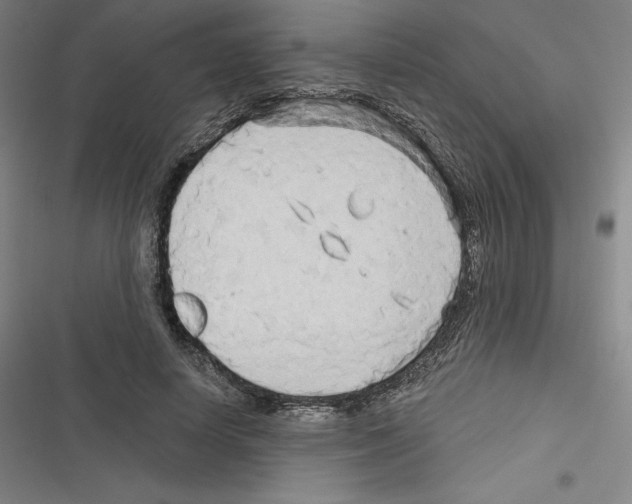 X0000116300642201001111118