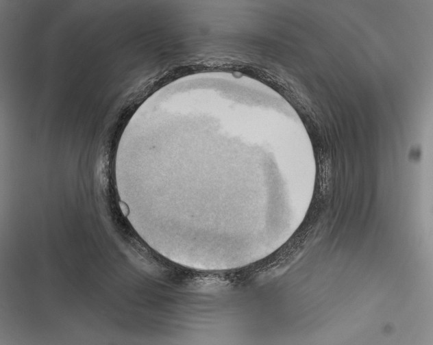 X0000116300644201001111118